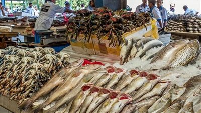 اسعار السمك بجميع انواعه اليوم فى سوق العبور
