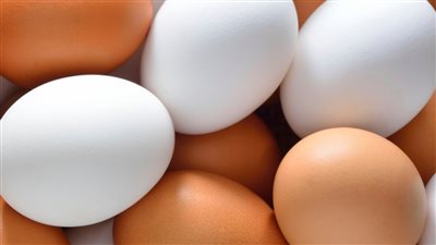 سعر كرتونة البيض يصل لـ 80 جنية زيادة كبيرة في أسعار جميع انواع البيض اليوم