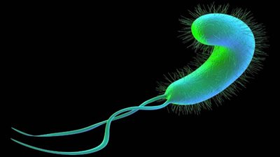 وصفات طبيعيه لعلاج جرثومه المعدة