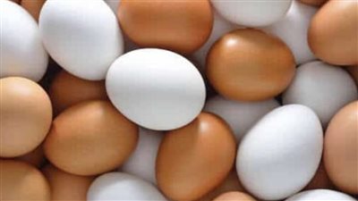 سعر كرتونه البيض اليوم 8 7 2022
