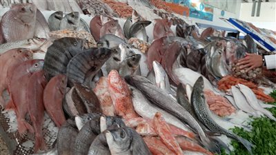 اسعار السمك اول ايام عيد الاضحى