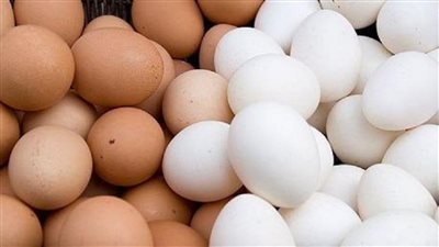 سعر طبق البيض اليوم الأحد 10 يوليو في البورصة ثاني أيام عيد الاضحي