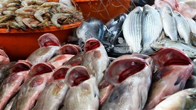 سعر الاسمك اليوم 10 7 2022 ثانى ايام عيد الاضحى