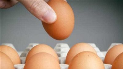 سعر كرتونة البيض الابيض والاحمر في الاسواق اليوم الثلاثاء 13 يوليو