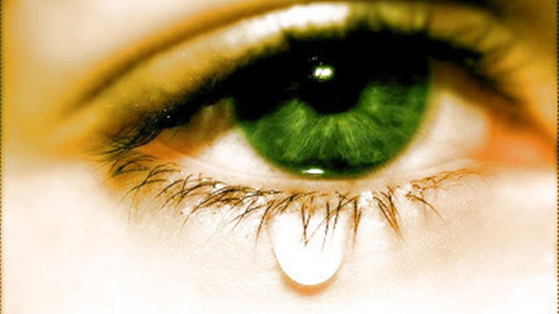 الحق والضلال