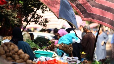 أسعار الخضروات في الأسواق المحلية وسوق العبور اليوم الجمعة 15 يوليو