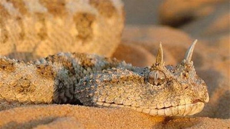 الحق والضلال