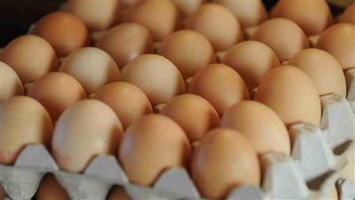 سعر البيض اليوم السبت فى الاسواق