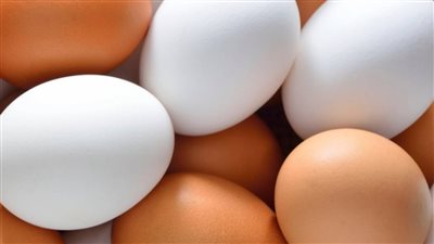 شاهد ماذا حدث في سعر كرتونة البيض اليوم السبت في الأسواق