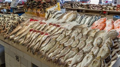 أسعار السمك فى الاسواق اليوم الاحد
