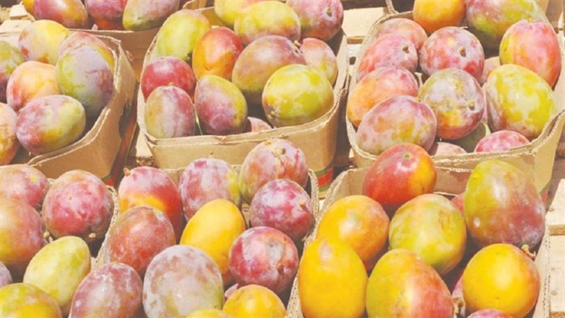الحق والضلال
