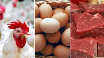 شاهد ماذا حدث في أسعار الدواجن والبيض واللحوم اليوم في الأسواق