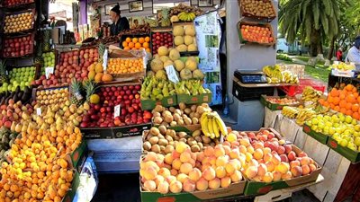 أسعار الفاكهة اليوم بالأسواق المحلية المصرية وسوق العبور