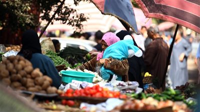 أسعار الخضروات اليوم بالأسواق المحلية المصرية وسوق العبور