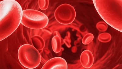 تجنب الاصابة بالانميا تناول هذة الفاكهة المجففة