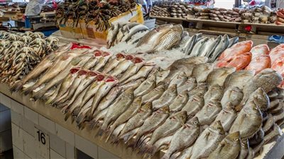 اسعار السمك اليوم السبت فى الاسواق