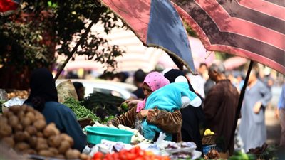 أسعار الخضروات اليوم في الأسواق المحلية وسوق العبور