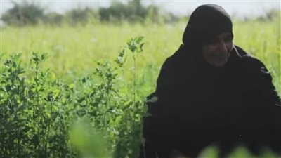 قرية للنساء فقط في مصر لم يدخلها الرجال التفاصيل