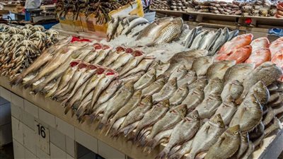 سعر الاسماك اليوم الاثنين فى الاسواق