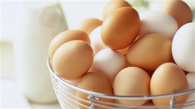 سعر البيض فى مصر اليوم الأربعاء