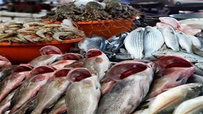 أسعار الأسماك والمأكولات البحرية فى مصر اليوم الخميس