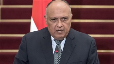 وزير الخارجية سامح شكري معلقا علي سبب اثارة قضية علاء عبد الفناح