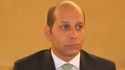 مدير المنظمة المسكونية بجنيف نجاح المرأة والأقباط في المقاعد الفردية يعزز مبدأ المواطنة