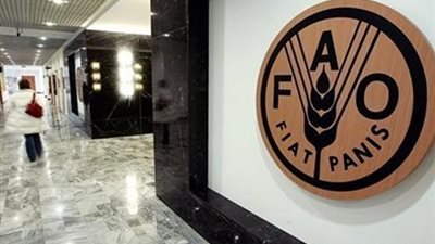 الفاو توسع سوق الأغذية يجب أن يضمن تحقيق هدف القضاء على الجوع