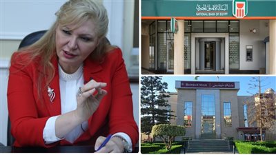 طرح شهادة ادخار بفائدة 30 في المئة وخبيرة تصدم اصحاب الودائع بهذا الخبر