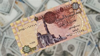 هل وصل سعر الاخضر 32 جنيه سعر الدولار الجديد والرسمي بالبنوك اليوم