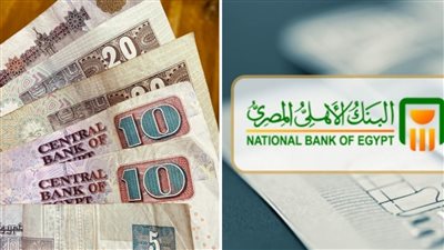 البنك الاهلي المصري يزلزل البنوك بحساب توفير المستقبل الجديد بأعلي عائد