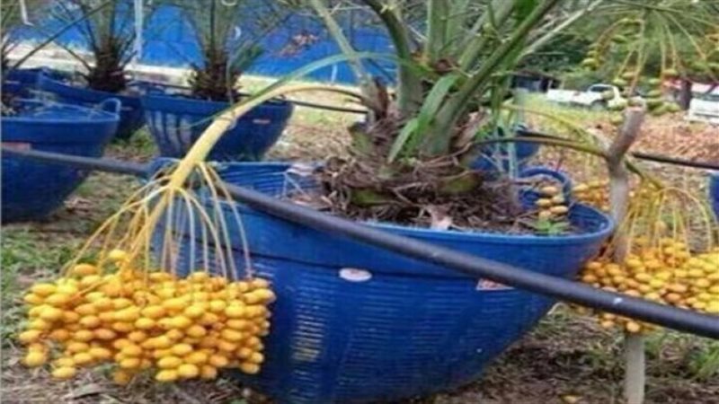 الحق والضلال