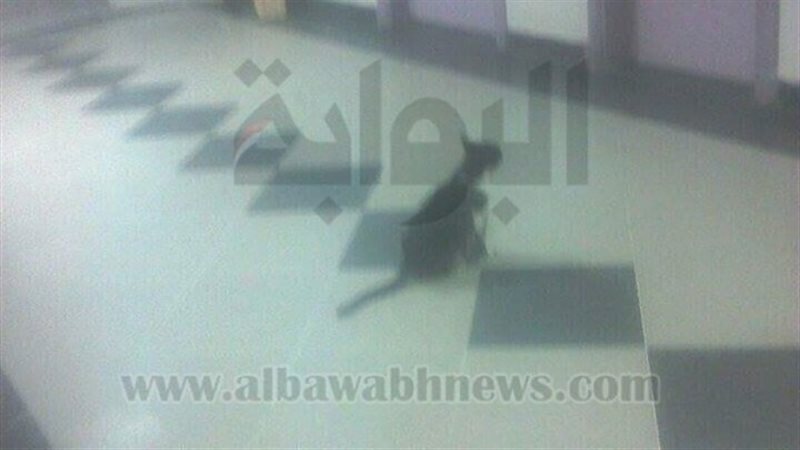 الحق والضلال