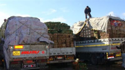 النقل تدرس عروض تنفيذ أول ميناء جاف بـ6 أكتوبر