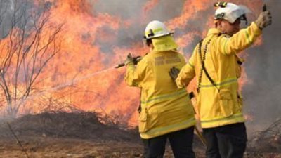 شاهد بالصور.. رجال الإطفاء يكافحون حرائق الغابات فى أستراليا