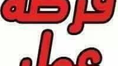 القوى العاملة تعلن توافر 150 فرصة عمل