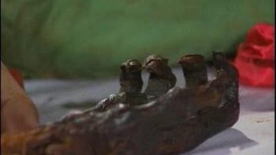 بالفيديو ا كاهن يمسك بكف القديسة مارينا الشهيده