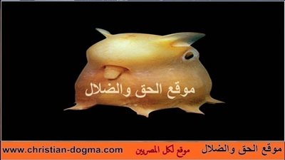 تعرف بالصور علي 10 مخلوقات يعيشون منذ عصر الديناصورات وحتي وقتنا هذا