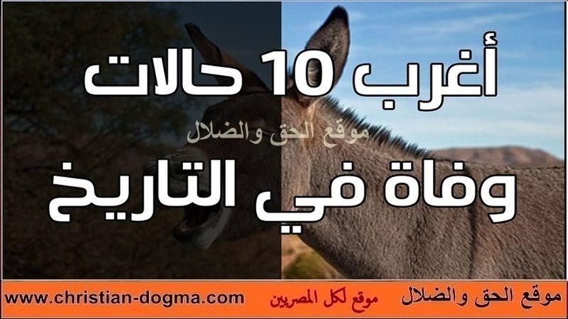 الحق والضلال