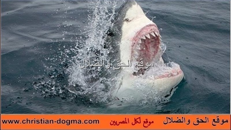 الحق والضلال