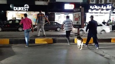 مصدر امنى يكشف ما هو محتوى الكيس الذى اثار الذعر بالدقى