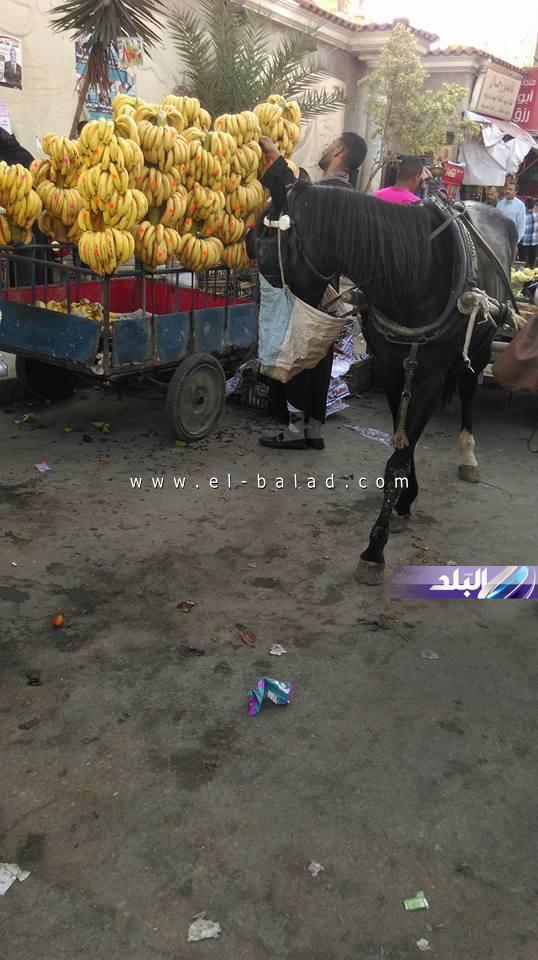 بالصور الباعة الجائلون يحتلون أهم شوارع الإسكندرية بعد الكورنيش
