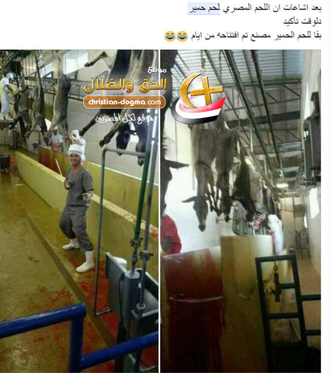 بالصور نكشف حقيقة افتتاح مدبح للحمير فى مصر