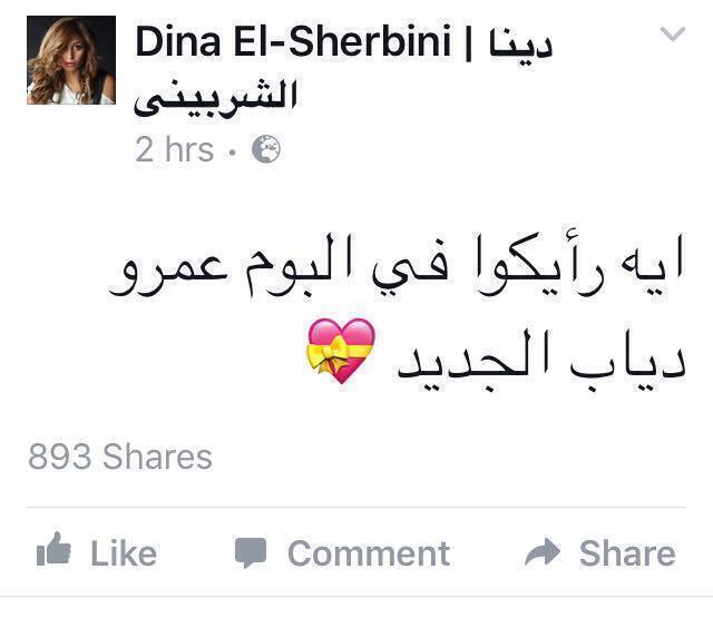 بالصور غيرة معجبات عمرو دياب تحرج دينا الشربينى