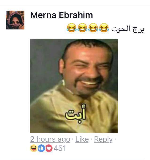 بالصور غيرة معجبات عمرو دياب تحرج دينا الشربينى