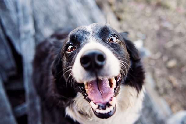 https://christian-dogma.com https://christian-dogma.com