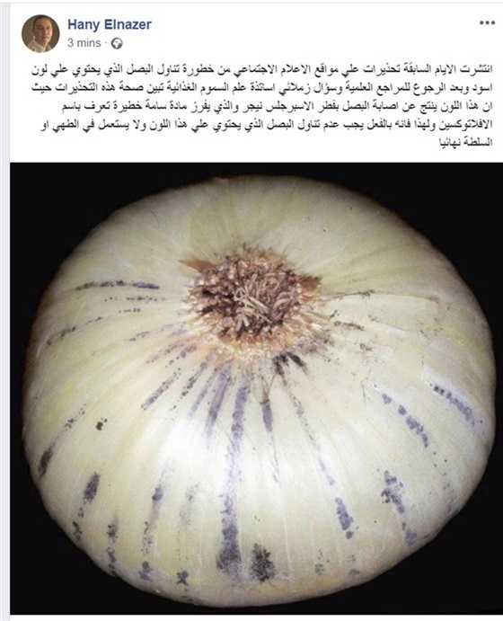 تحذير هام جدا البصل يسبب سرطان الكبد في هذه الحاله