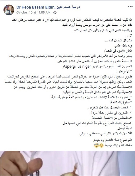 تحذير هام جدا البصل يسبب سرطان الكبد في هذه الحاله