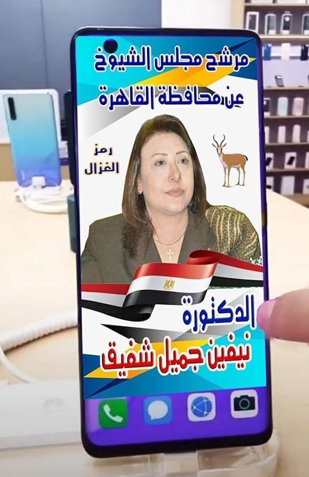 من هي الدكتورة نيفين جميل شفيق واصف المرشحه لمجلس الشيوخ  