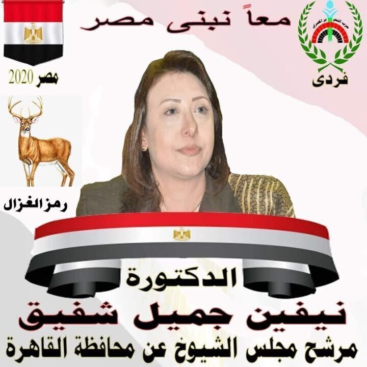 من هي الدكتورة نيفين جميل شفيق واصف المرشحه لمجلس الشيوخ  
